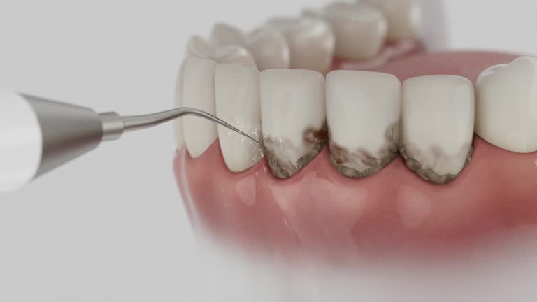 Reliable Dental contractor in Corbin, KY by Dentist Open Now